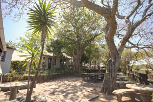 Hibiscus Internationl Academy Outdoor Learning Area